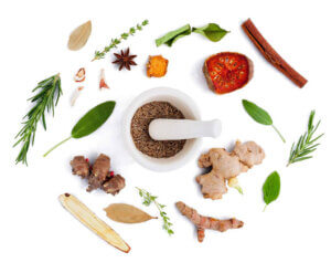 Ayurveda - Advanced Nutrition